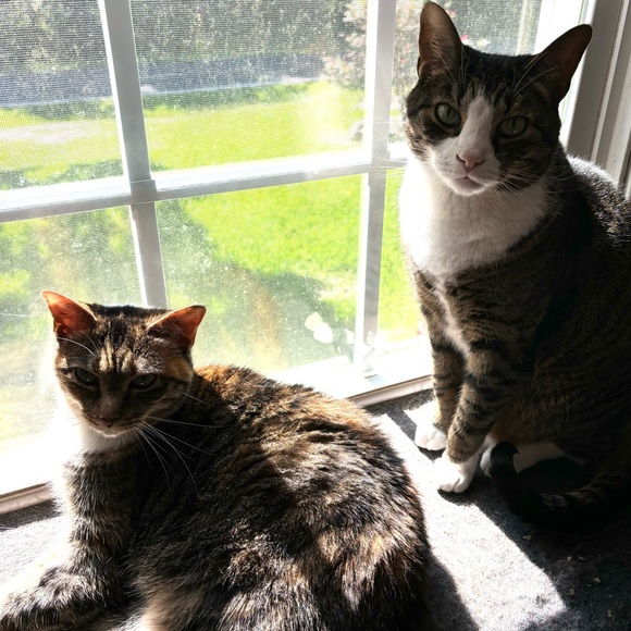 Meet your Posher - Hi, I’m Emily! - Picture 5 of 6